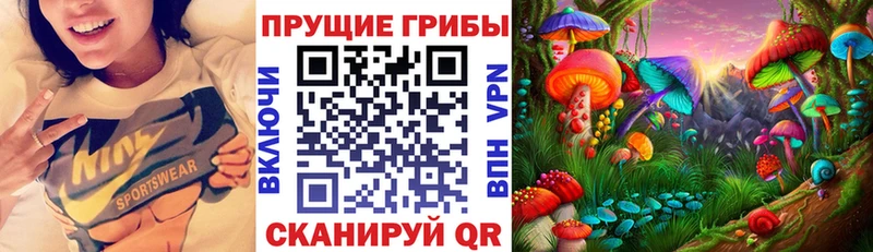 Купить закладки Усолье Галлюциногенные грибы Cubensis
